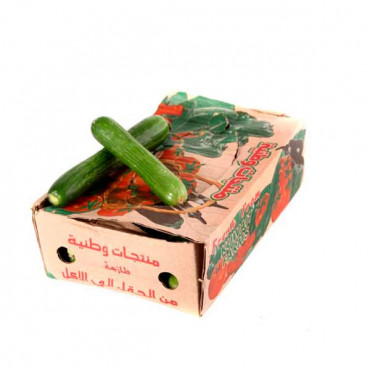 Cucumber - Kuwait - Box 