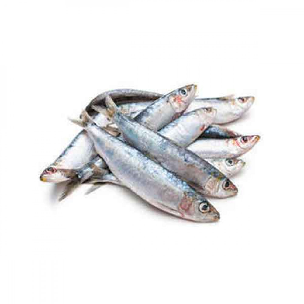 Fresh Sardines Fish Big - 1Kg (Approx)  Fresh Sardines Fish Big - 1Kg (Approx)
