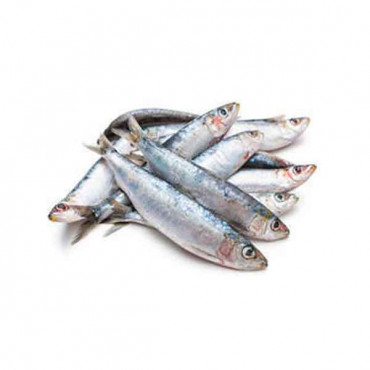 Fresh Sardines Fish Big - 1Kg (Approx) 