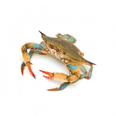 Fresh Blue Crab - 1Kg (Approx) 