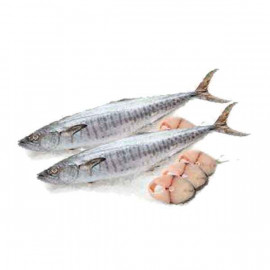 Fresh King Fish Medium - 1Kg (Approx)