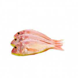 Fresh Sultan Ibrahim Fish - 1Kg (Approx)