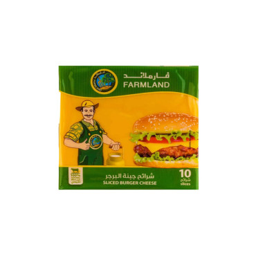 FARMLAND SLICED BURGER CHEESE 200GM