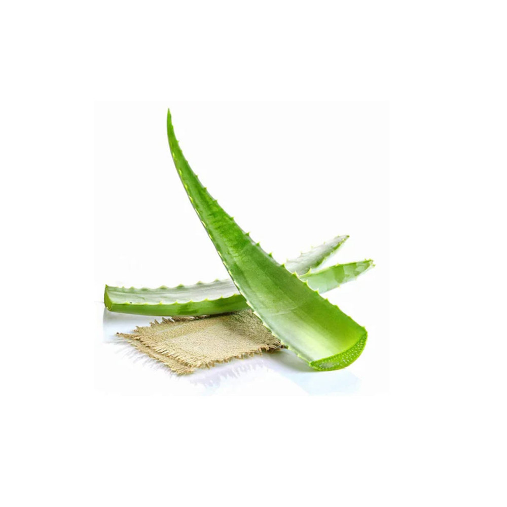 ALOE VERA 1KG APPROX