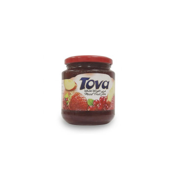 TOVA MIXED FRUIT JAM 450GM