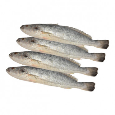 Fresh Nuwaibi Fish - Kuwait - 1Kg (Approx) -- سمك نويبي الطازج - 1 كجم (تقريبًا)